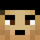 Player skin of armik04