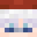 Player skin of astravan21