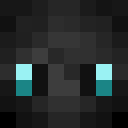 Player skin of Palmenikoo