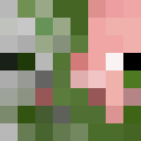 Player skin of Setawxrv