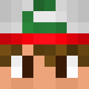 Player skin of Pajdrall