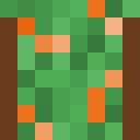 Player skin of Zim_Zim_Zala_Bim