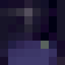 Player skin of magneticwing11