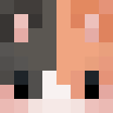 Player skin of C4ts_T0day