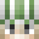 Player skin of xZerionMC