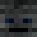 Player skin of witheross