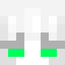 Player skin of nvstheworld