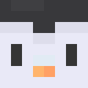 Player skin of 9_6