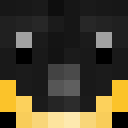 Player skin of Reyade