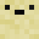 Player skin of Sandyholm