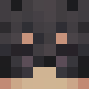 Player skin of X_SUS_