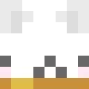 Player skin of GaminPlayz
