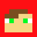 Player skin of blazebug2010