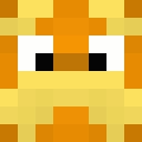 Player skin of blink314