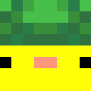 Player skin of bubble1205