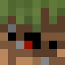 Player skin of burnt_leaves