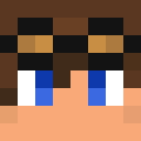 Player skin of PetitRenard_