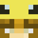 Player skin of IamLittleBee