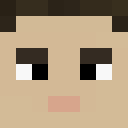 Player skin of Ghosthawks