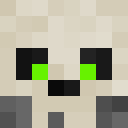 Player skin of Drastoil
