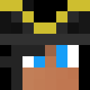 Player skin of lazydog11