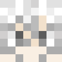 Player skin of Zenith_Shin