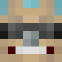 Player skin of mickfrick
