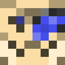 Player skin of Greg1195