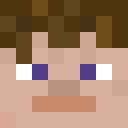 Player skin of fusuges