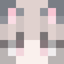 Player skin of 110v_