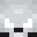 Player skin of Npotter