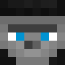 Player skin of cerrr12