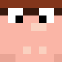 Player skin of N308B