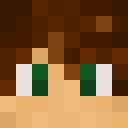 Player skin of cja951