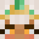 Player skin of clooudss