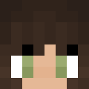 Player skin of czechvee