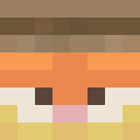 Player skin of garfd