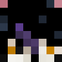 Player skin of Arcamiu