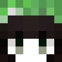 Player skin of LeZP