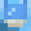 Player skin of hg13_