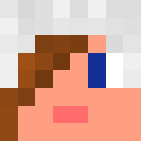 Player skin of BeastyBoy5000