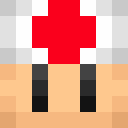 Player skin of Toadoshi