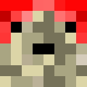 Player skin of ninjallama256