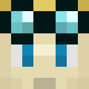 Player skin of Unguard4488