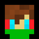 Player skin of PlevoX