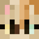 Player skin of shtof