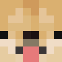 Player skin of TubbyDog90