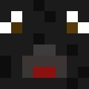 Player skin of dagw