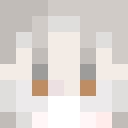 Player skin of danonii0