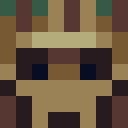 Player skin of databrus